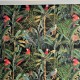 MINDTHEGAP |  The Wallpaper Compendium |  PARROTS OF BRASIL Antracite WP20522 Wallpaper