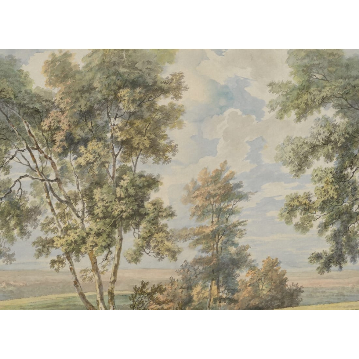 Tree on the Hill| Vintage