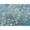 Almond Blossom