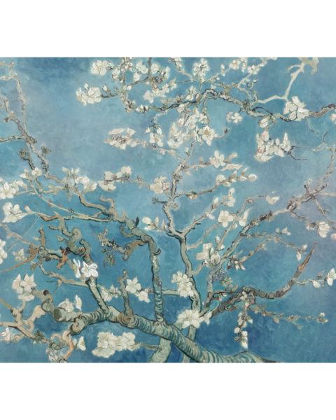 Almond Blossom I