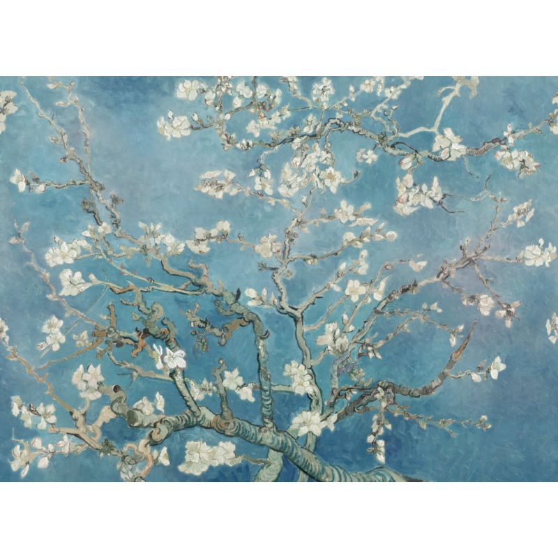 Almond Blossom