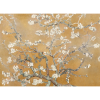 Almond Blossom