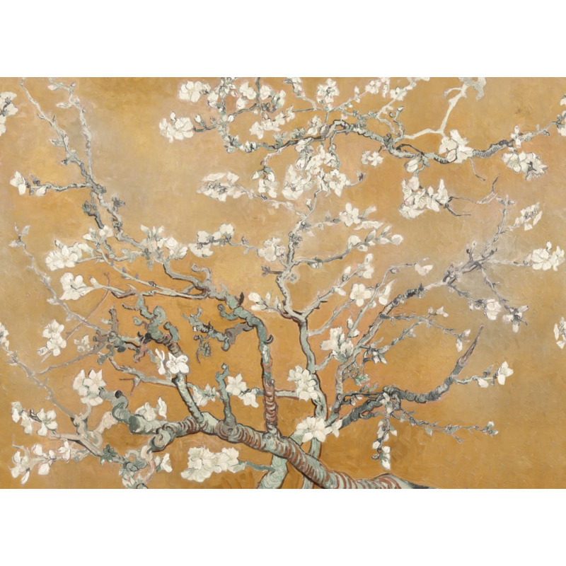 Almond Blossom