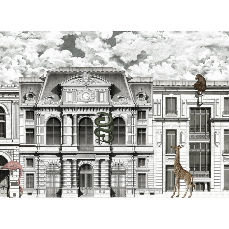 Animal Avenue