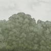 Belle Buisson-Green Vintage