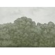 Belle Buisson-Green Vintage