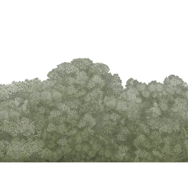 Belle Buisson, Green