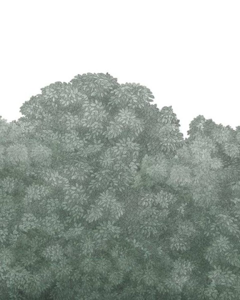 Belle Buisson | Turquoise