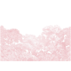 Bellewood Pink