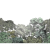 Bellewood