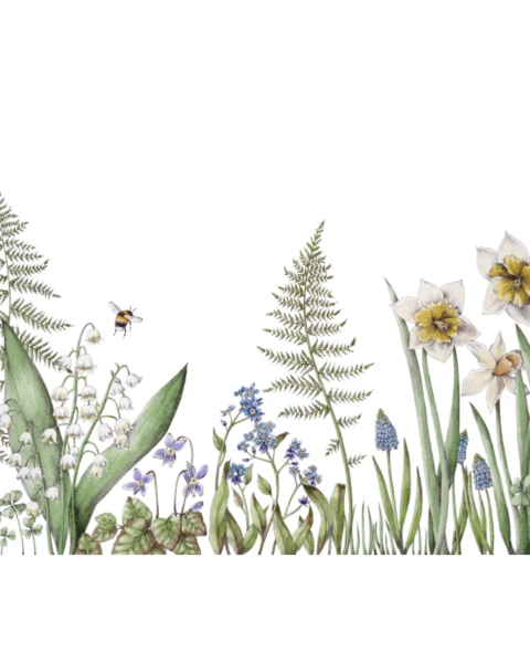 Bumblebee, White