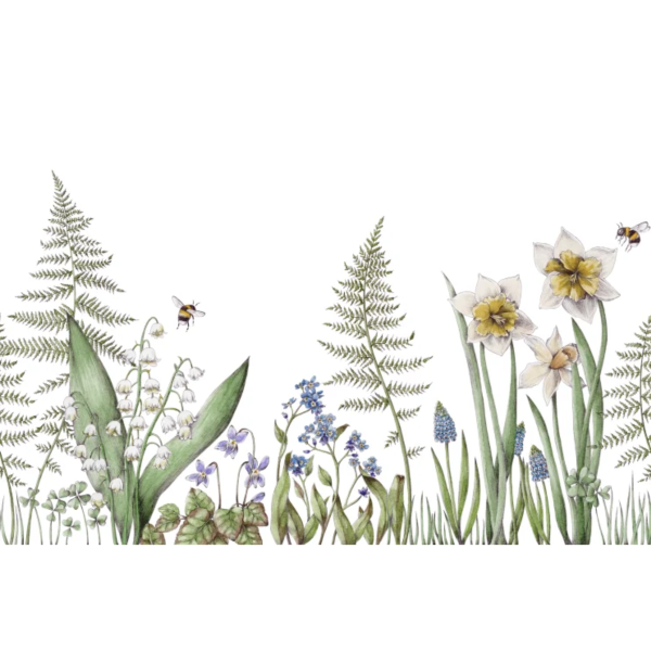 Bumblebee, White