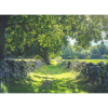 Early Summer