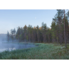 Forest Lake