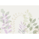 Grow, Lilac