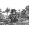 Jungle Land