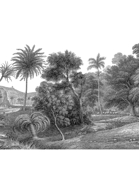 Jungle Land
