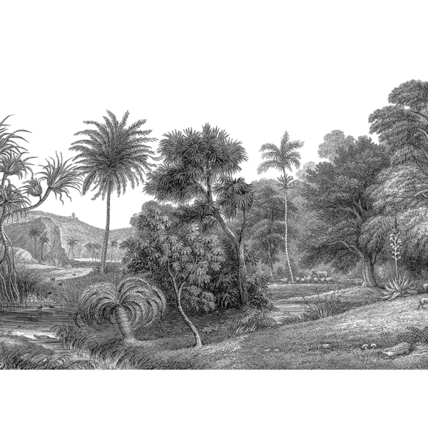Jungle Land