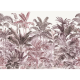 Pride Palms, Plum