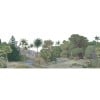 Jungle Land, Color