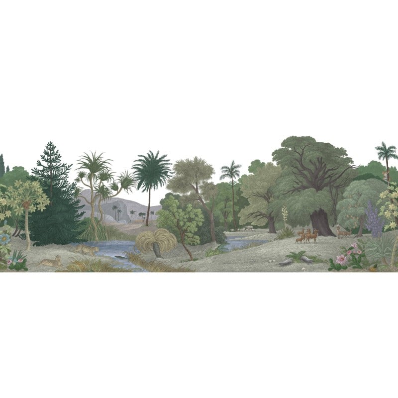 Jungle Land, Color