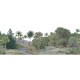 Jungle Land, Color