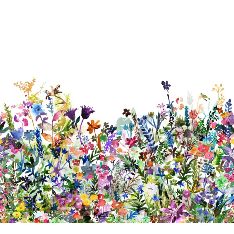 May Meadow