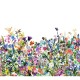 May Meadow