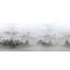 Morning Fog