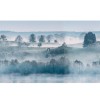 Morning Haze