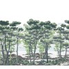 The Enchanted Forest