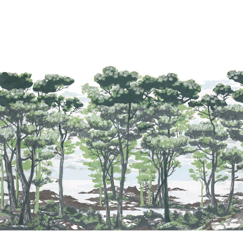 The Enchanted Forest