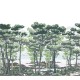 The Enchanted Forest