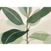 Ruby | Green