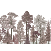 Scandinavian Bellewood, Dawn