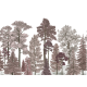 Scandinavian Bellewood, Dawn