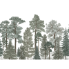 Scandinavian Bellewood
