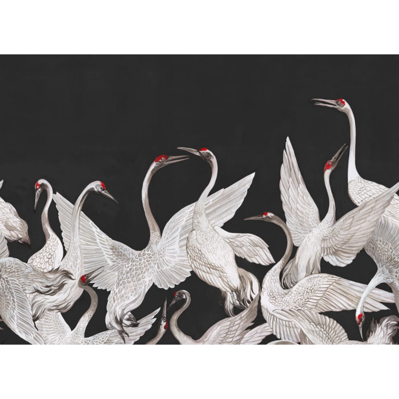 Soaring Cranes