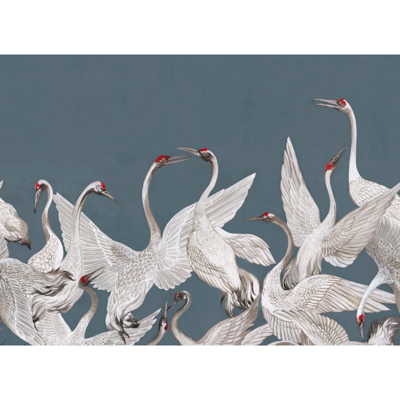 Soaring Cranes
