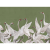 Soaring Cranes