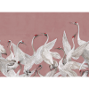 Soaring Cranes