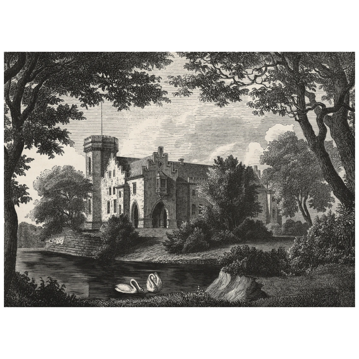 Swan Pond, Vintage