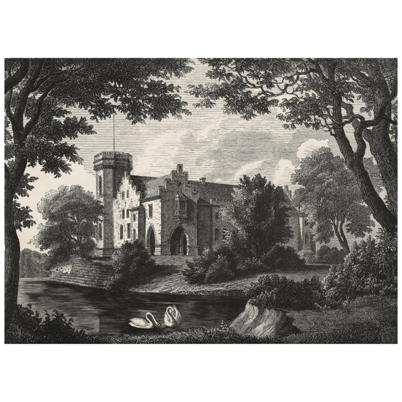 Swan Pond, Vintage