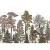 Scandinavian Bellewood, Fall