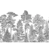 Scandinavian Bellewood, Grey