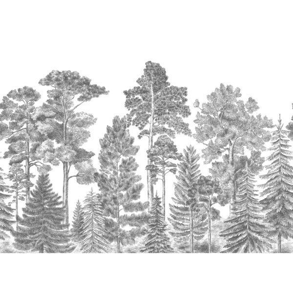 Scandinavian Bellewood, Grey
