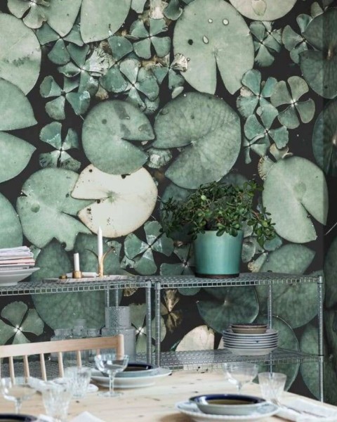 Mystic Water Lilies