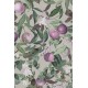 Peach Valley, Lilac