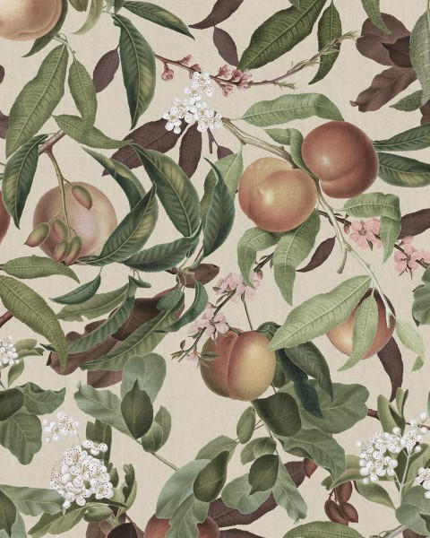 Peach Valley, Sand