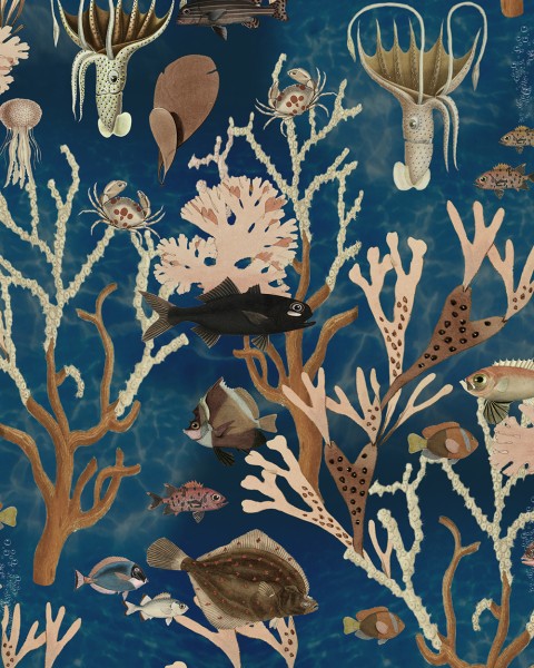 Aquarium, Ocean